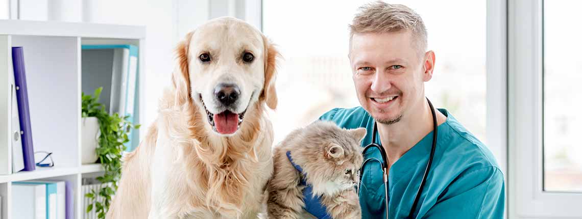 Tierkrankenversicherung der HanseMerkur - Kran­ken­schutz für Hund und Katze